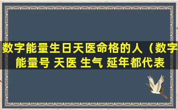 数字能量生日天医命格的人（数字能量号 天医 生气 延年都代表什么）